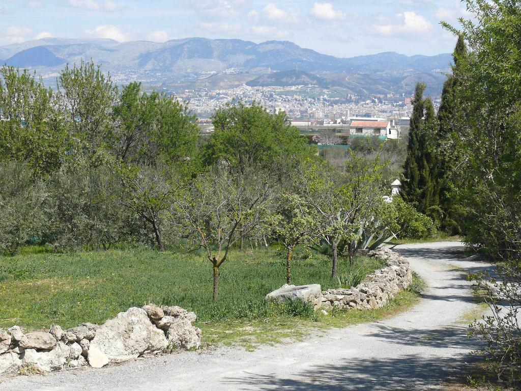 Cortijo Algabia ξενώνας Alhendín Εξωτερικό φωτογραφία