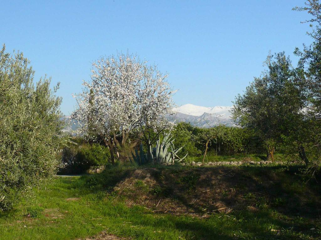 Cortijo Algabia ξενώνας Alhendín Εξωτερικό φωτογραφία