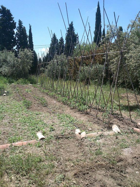 Cortijo Algabia ξενώνας Alhendín Εξωτερικό φωτογραφία