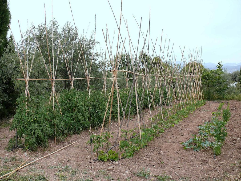 Cortijo Algabia ξενώνας Alhendín Εξωτερικό φωτογραφία